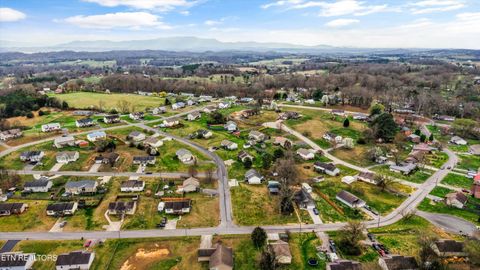 Tiny photo for 1306 Tabitha Drive, White Pine, TN 37890 (MLS # 1332255)