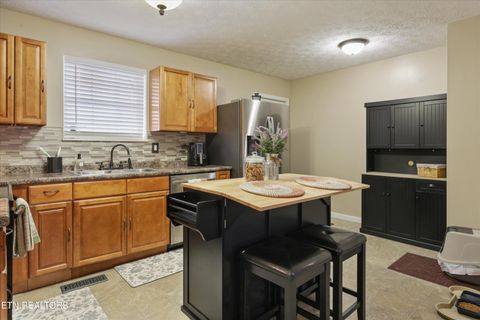 Tiny photo for 1306 Tabitha Drive, White Pine, TN 37890 (MLS # 1332255)