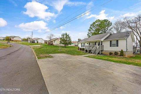 Tiny photo for 1306 Tabitha Drive, White Pine, TN 37890 (MLS # 1332255)