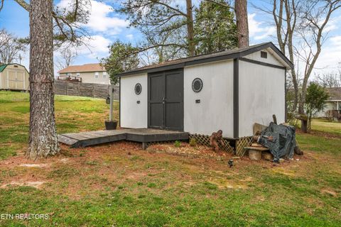 Tiny photo for 1306 Tabitha Drive, White Pine, TN 37890 (MLS # 1332255)