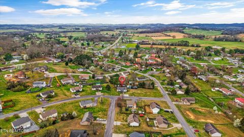 Tiny photo for 1306 Tabitha Drive, White Pine, TN 37890 (MLS # 1332255)