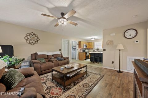 Tiny photo for 1306 Tabitha Drive, White Pine, TN 37890 (MLS # 1332255)