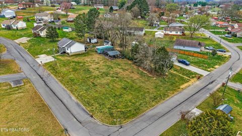 Tiny photo for 1306 Tabitha Drive, White Pine, TN 37890 (MLS # 1332255)