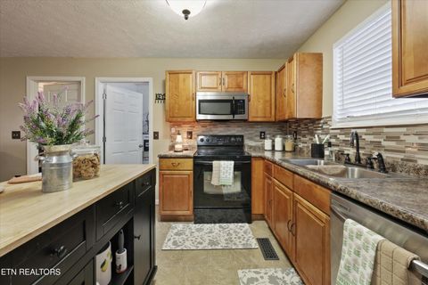 Tiny photo for 1306 Tabitha Drive, White Pine, TN 37890 (MLS # 1332255)