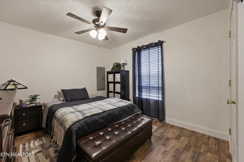 Tiny photo for 1306 Tabitha Drive, White Pine, TN 37890 (MLS # 1332255)