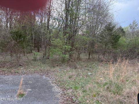 Photo of 183 Foxwood Drive #Lot 12, Kingston, TN 37763 (MLS # 1332642)