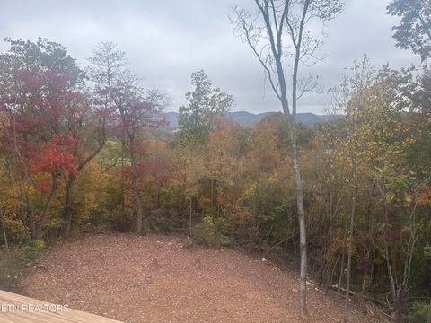 Tiny photo for 568 Low Valley Rd, Dandridge, TN 37725 (MLS # 1340662)