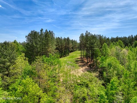 Tiny photo for 372 Stonecipher Court, Sunbright, TN 37872 (MLS # 1338015)