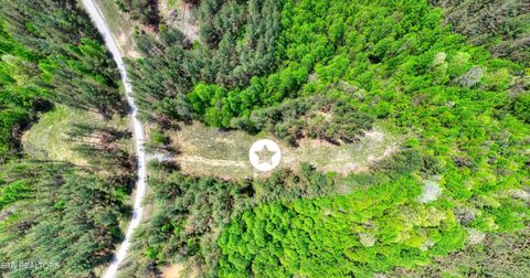 Tiny photo for 372 Stonecipher Court, Sunbright, TN 37872 (MLS # 1338015)