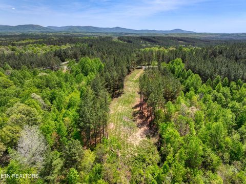 Tiny photo for 372 Stonecipher Court, Sunbright, TN 37872 (MLS # 1338015)