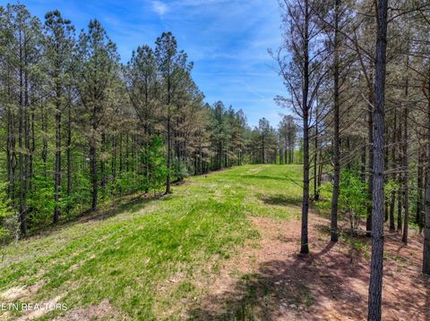 Tiny photo for 372 Stonecipher Court, Sunbright, TN 37872 (MLS # 1338015)