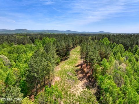 Tiny photo for 372 Stonecipher Court, Sunbright, TN 37872 (MLS # 1338015)