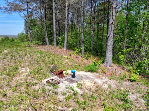 Tiny photo for 372 Stonecipher Court, Sunbright, TN 37872 (MLS # 1338015)