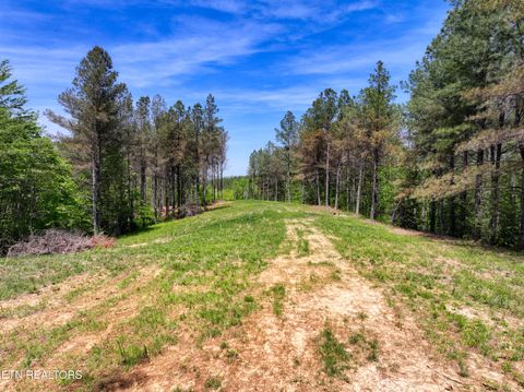 Tiny photo for 372 Stonecipher Court, Sunbright, TN 37872 (MLS # 1338015)