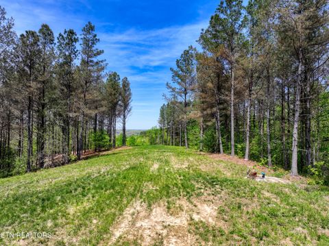 Tiny photo for 372 Stonecipher Court, Sunbright, TN 37872 (MLS # 1338015)