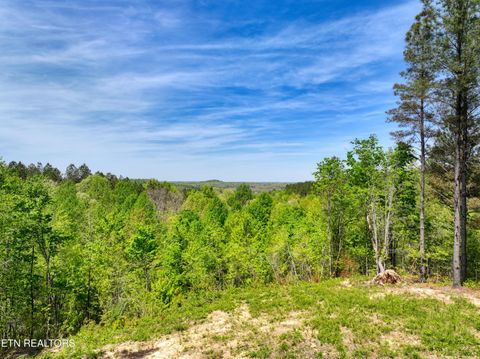 Tiny photo for 372 Stonecipher Court, Sunbright, TN 37872 (MLS # 1338015)