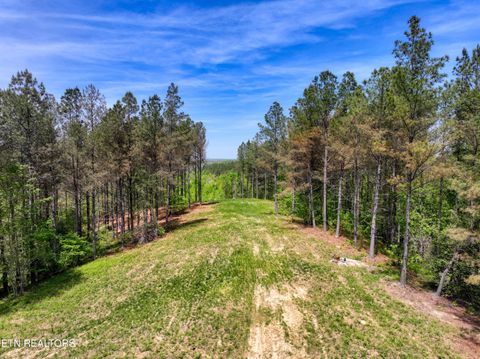 Tiny photo for 372 Stonecipher Court, Sunbright, TN 37872 (MLS # 1338015)