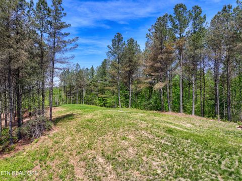 Tiny photo for 372 Stonecipher Court, Sunbright, TN 37872 (MLS # 1338015)