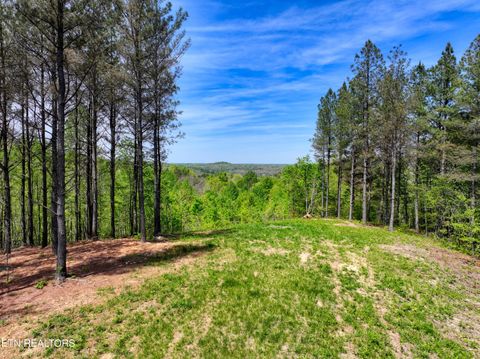 Tiny photo for 372 Stonecipher Court, Sunbright, TN 37872 (MLS # 1338015)