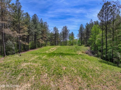 Tiny photo for 372 Stonecipher Court, Sunbright, TN 37872 (MLS # 1338015)