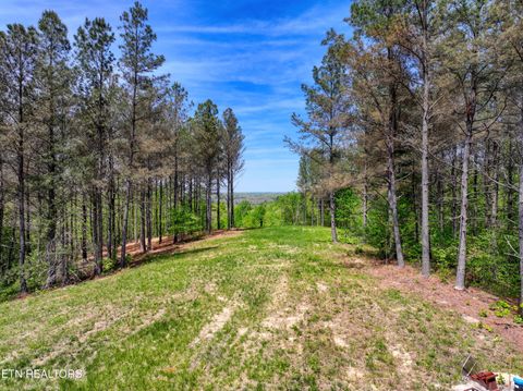 Tiny photo for 372 Stonecipher Court, Sunbright, TN 37872 (MLS # 1338015)