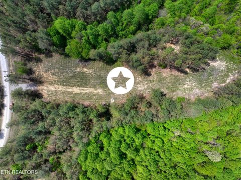 Tiny photo for 372 Stonecipher Court, Sunbright, TN 37872 (MLS # 1338015)