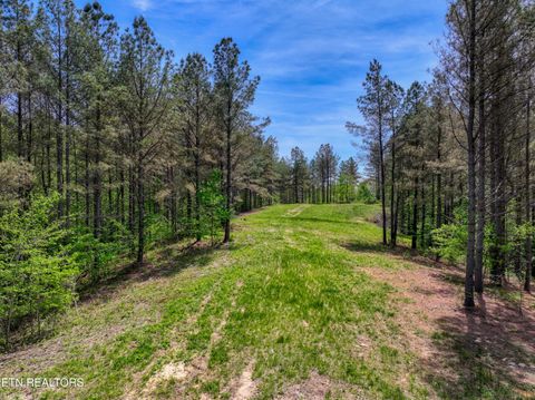 Tiny photo for 372 Stonecipher Court, Sunbright, TN 37872 (MLS # 1338015)