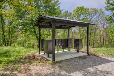 Tiny photo for 372 Stonecipher Court, Sunbright, TN 37872 (MLS # 1338015)