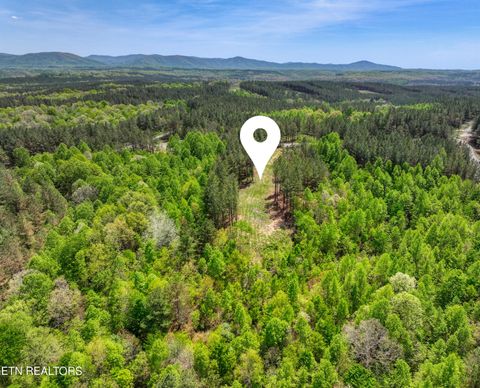 Tiny photo for 372 Stonecipher Court, Sunbright, TN 37872 (MLS # 1338015)