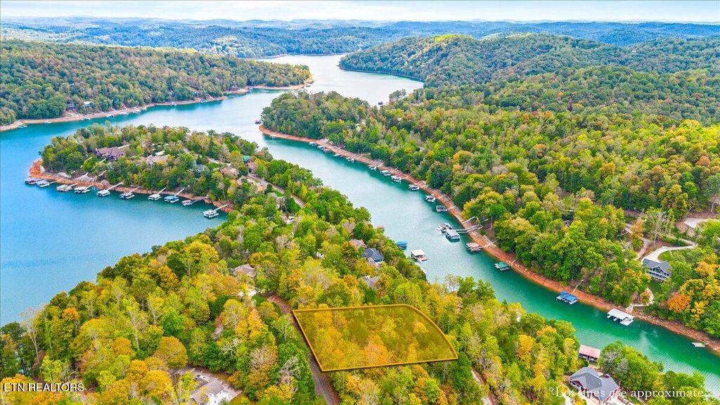 Photo of 64 Stoney Rock Lane, Jacksboro, TN 37757 (MLS # 1341120)