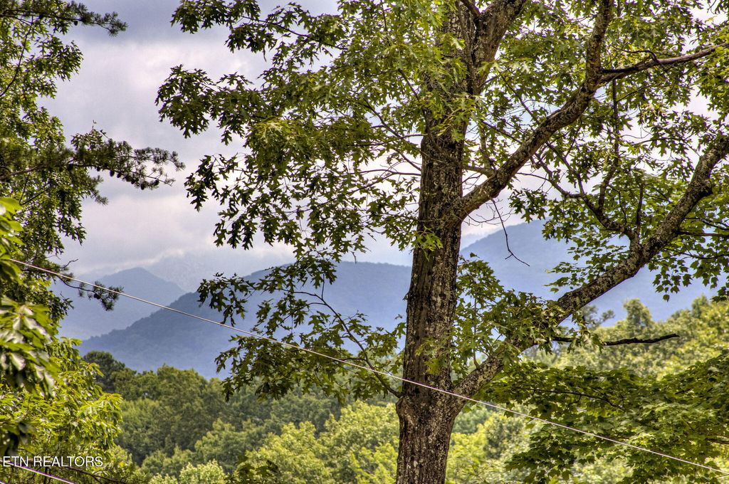 Photo of 1125 Tanrac Tr, Gatlinburg, TN 37738 (MLS # 1340338)