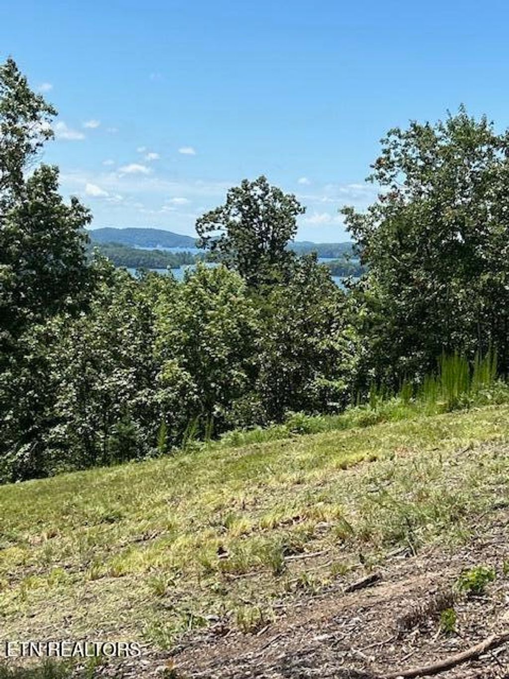 Photo of W Mountain Drive, Rockwood, TN 37854 (MLS # 1269967)