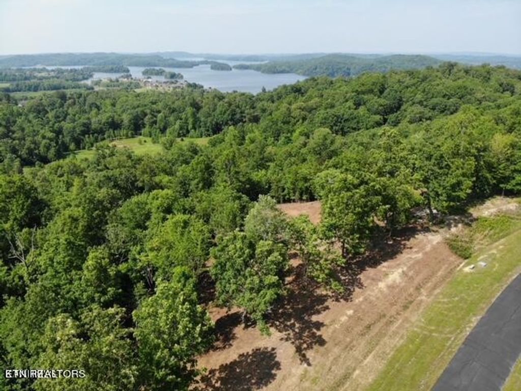 Photo of W Mountain Drive, Rockwood, TN 37854 (MLS # 1269967)