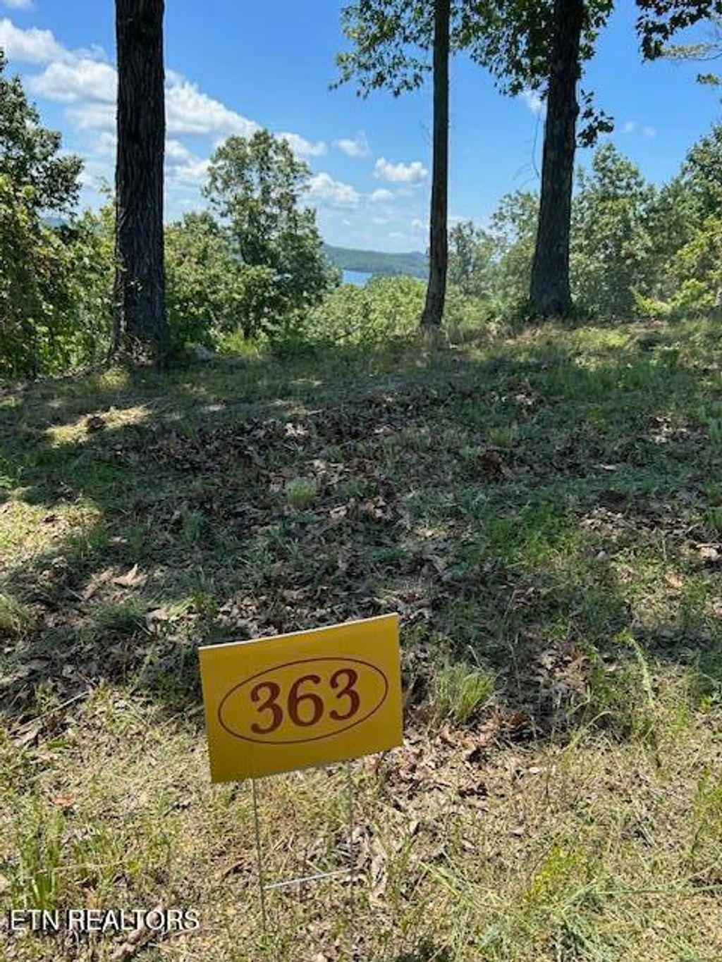 Photo of W Mountain Drive, Rockwood, TN 37854 (MLS # 1269967)