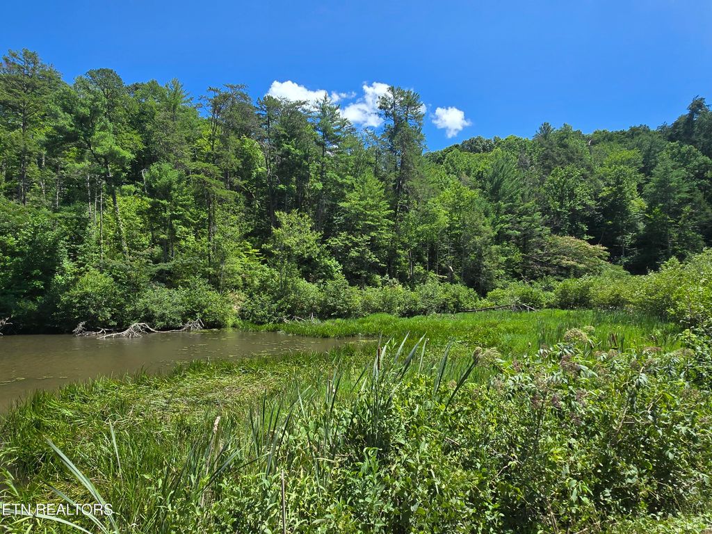 Photo of Overlook View Rd, Walland, TN 37886 (MLS # 1308438)