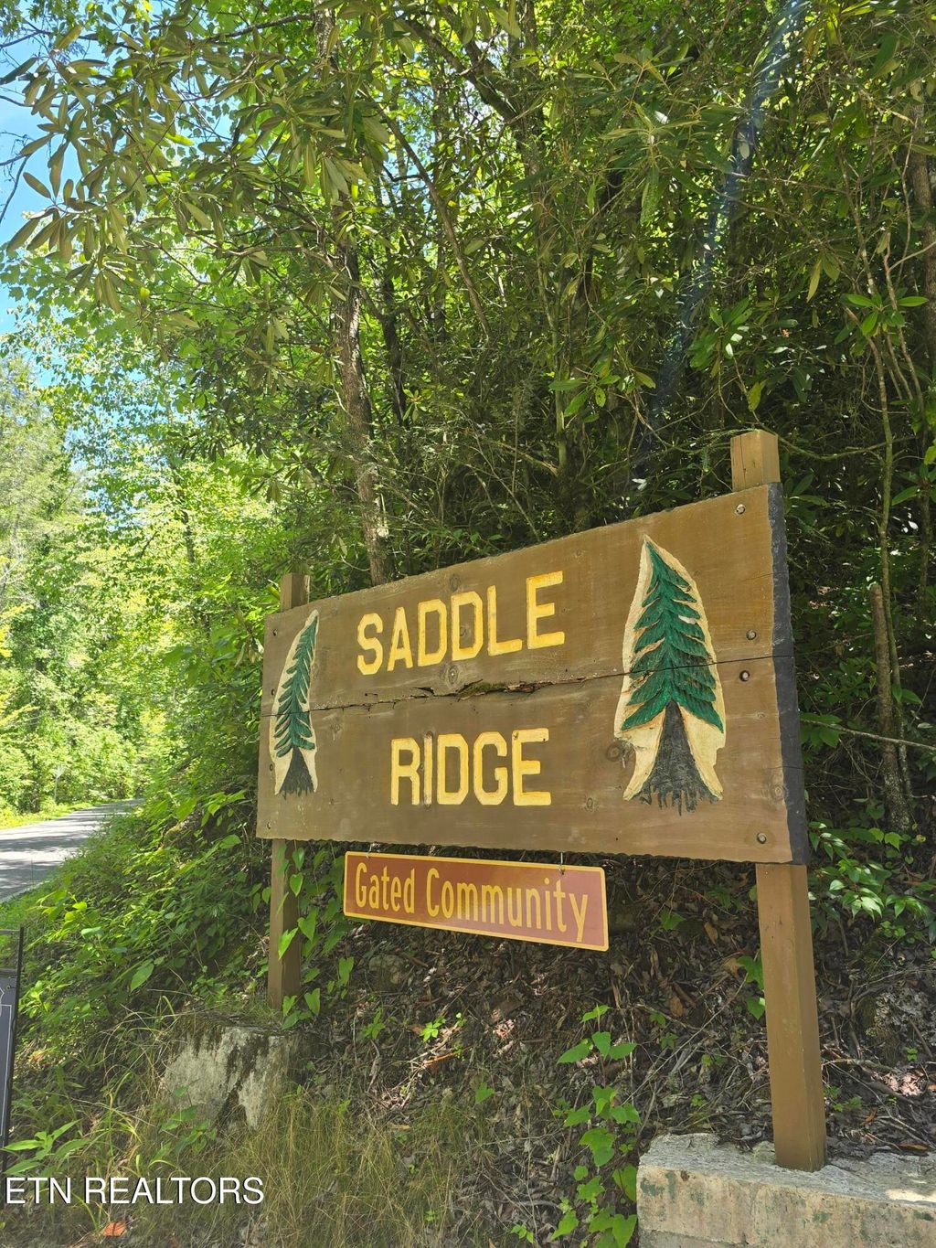 Photo of Overlook View Rd, Walland, TN 37886 (MLS # 1308438)