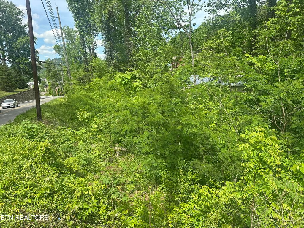Photo of 519 Cherokee Orchard Rd, Gatlinburg, TN 37738 (MLS # 1339267)