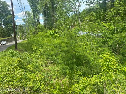 Photo of 519 Cherokee Orchard Rd, Gatlinburg, TN 37738 (MLS # 1339267)