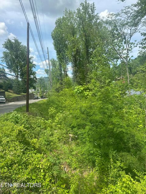 Tiny photo for 519 Cherokee Orchard Rd, Gatlinburg, TN 37738 (MLS # 1339267)