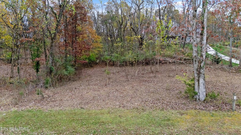 Photo of 3402 Lanyard Lane, Louisville, TN 37777 (MLS # 1283510)