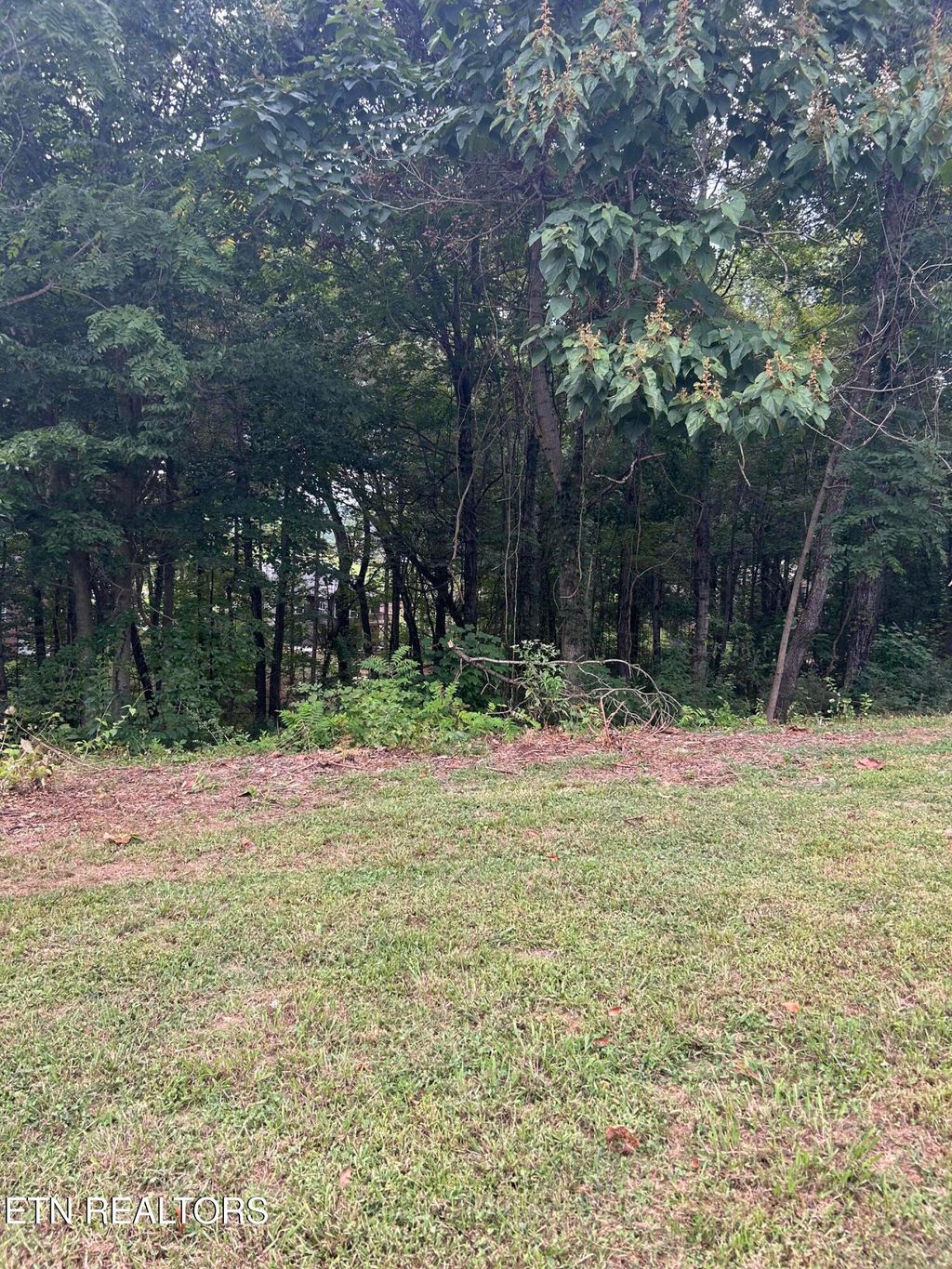 Photo of LOT 4 St James Lane, Clinton, TN 37716 (MLS # 1313852)