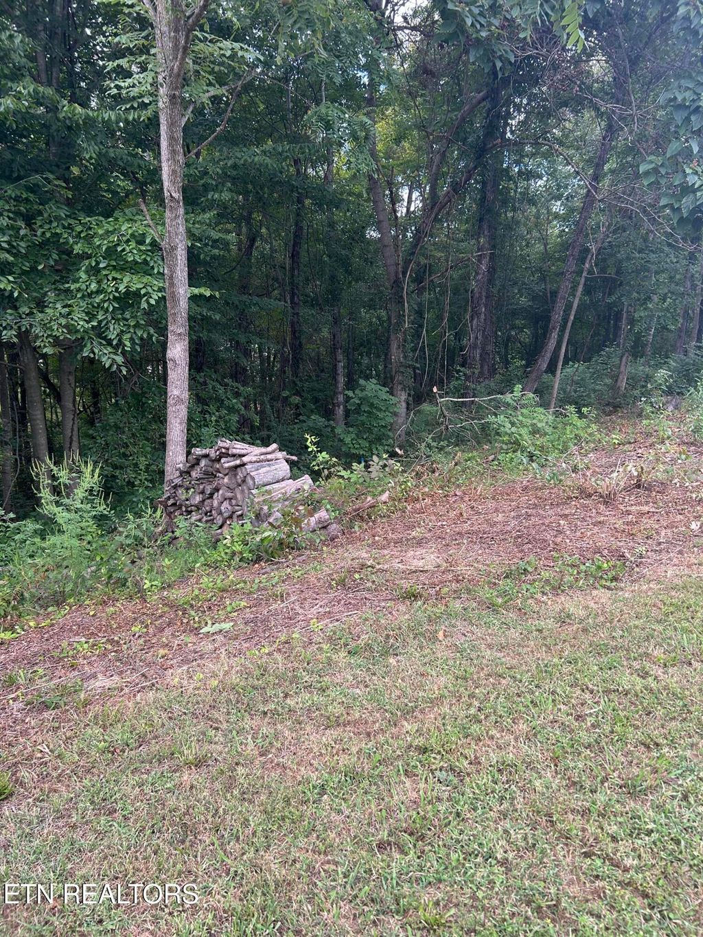 Photo of LOT 4 St James Lane, Clinton, TN 37716 (MLS # 1313852)
