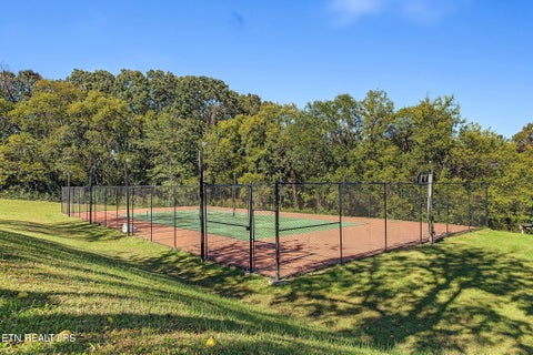 Tiny photo for 390 Highway 113, White Pine, TN 37890 (MLS # 1359709)