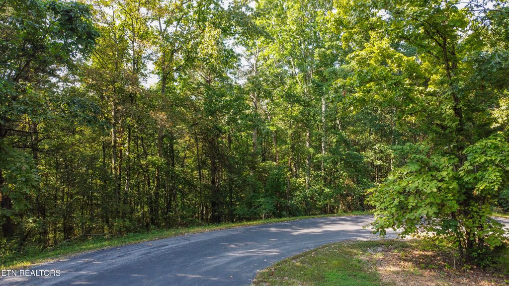 Photo of 310 Elohi Trace, Loudon, TN 37774 (MLS # 1315691)