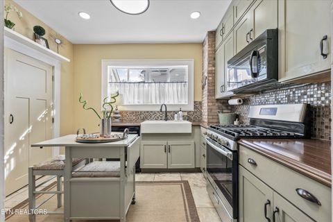 Tiny photo for 515 Lovenia Ave, Knoxville, TN 37917 (MLS # 1325161)