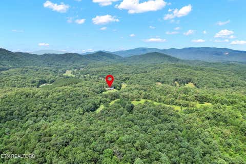 Tiny photo for 254 Padgett Lane, Turtletown, TN 37391 (MLS # 1349948)