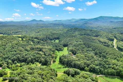 Tiny photo for 254 Padgett Lane, Turtletown, TN 37391 (MLS # 1349948)