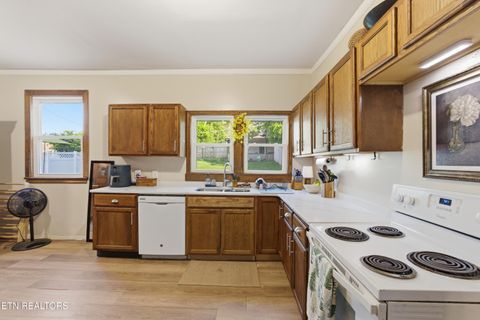 Tiny photo for 726 Clinton St, Harriman, TN 37748 (MLS # 1340836)