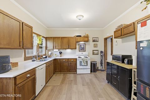 Tiny photo for 726 Clinton St, Harriman, TN 37748 (MLS # 1340836)