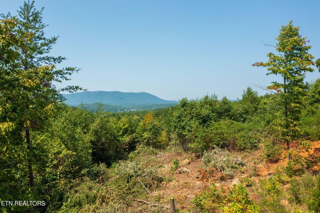 Photo of 600 Beatys Chapel Rd, Tellico Plains, TN 37385 (MLS # 1274827)